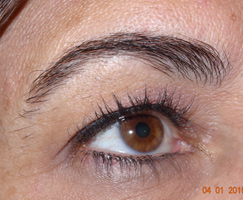 Permanent Eyebrows by Artistry Of Permanent Makeup of Orange County
