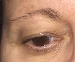 Permanent Microblading Eyebrows by Artistry Of Permanent Makeup of Orange County